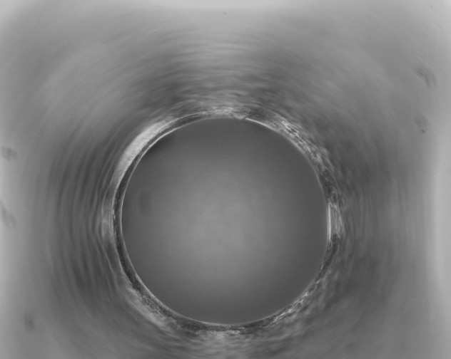 X0000091350147200708101537