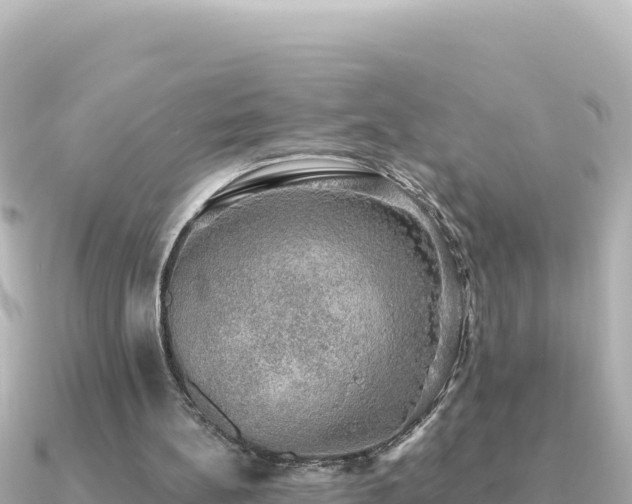 X0000091350148200708101537
