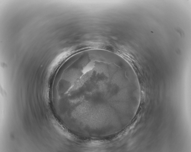 X0000091350149200708101537