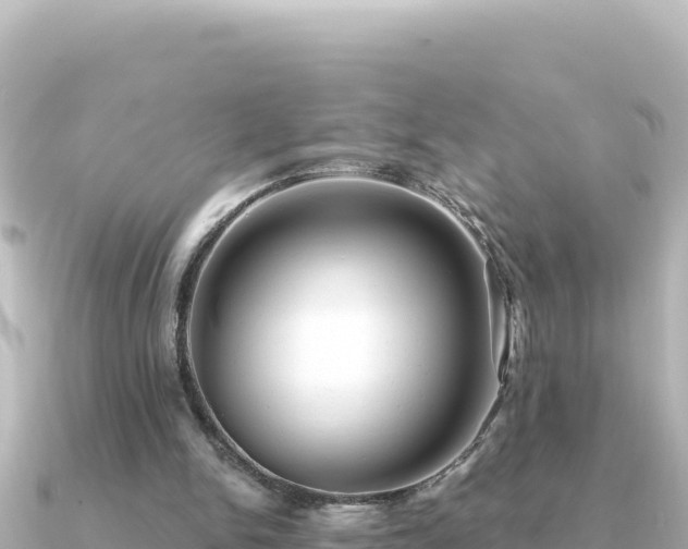 X0000091350150200708101537