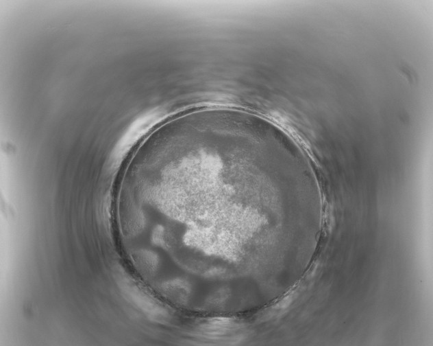 X0000091350151200708101537