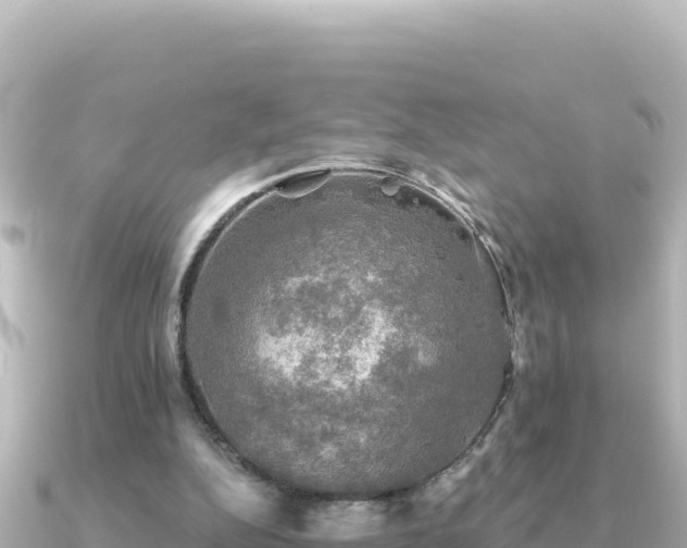 X0000091350152200708101537