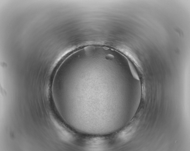 X0000091350156200708101537