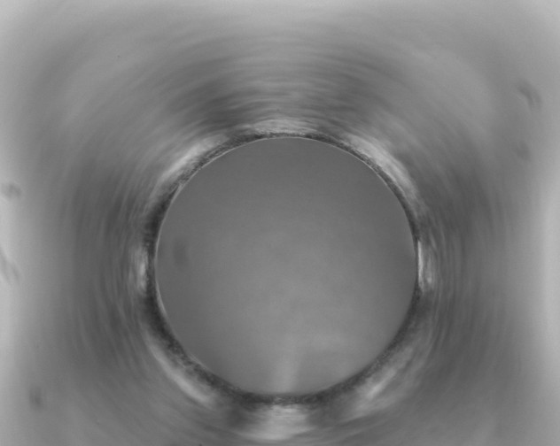 X0000091350157200708101537