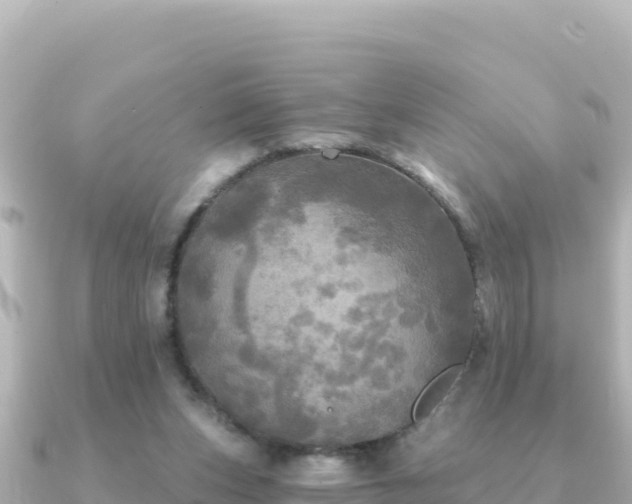 X0000091350159200708101537