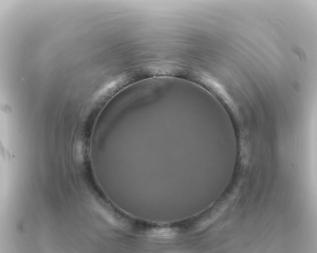 X0000091350161200708101537