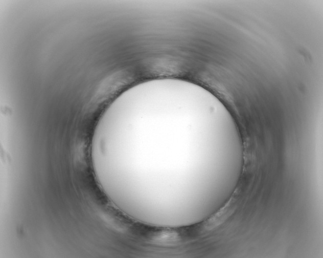 X0000091350162200708101537