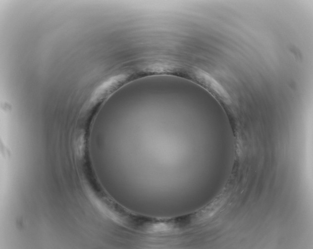 X0000091350163200708101537