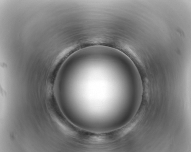 X0000091350164200708101537