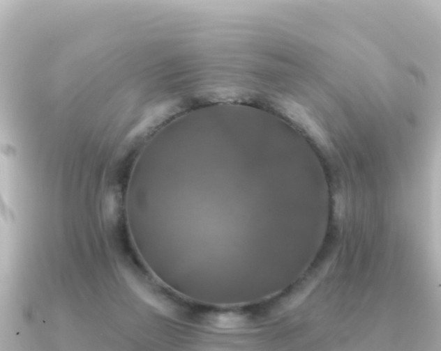 X0000091350165200708101537