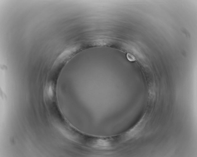 X0000091350166200708101537