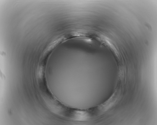 X0000091350167200708101537