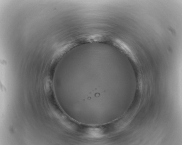 X0000091350169200708101537