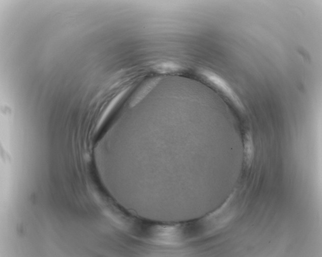 X0000091350170200708101537