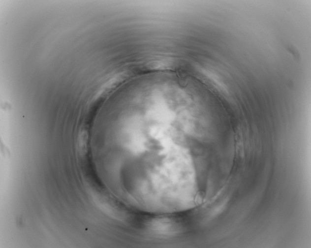 X0000091350171200708101537