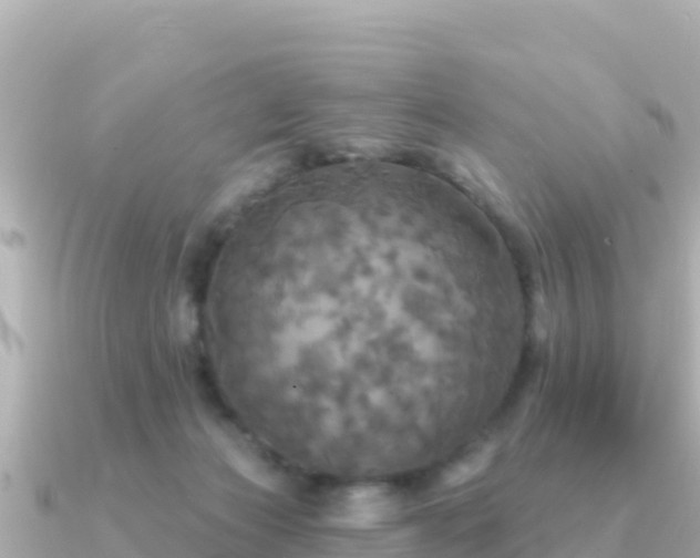 X0000091350173200708101537