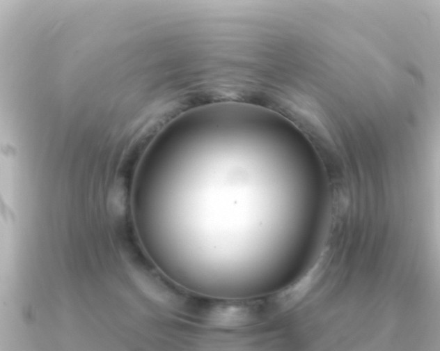X0000091350174200708101537