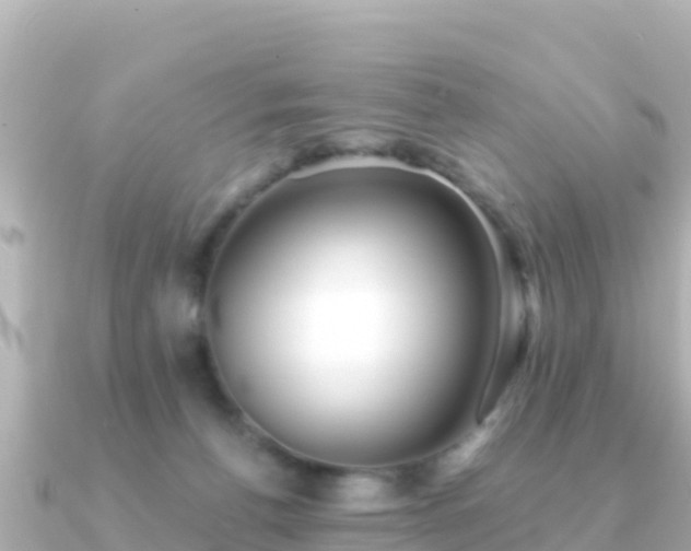 X0000091350176200708101537