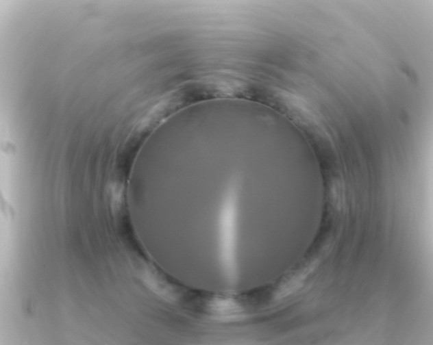 X0000091350177200708101537