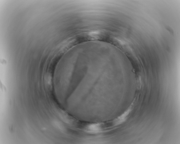 X0000091350178200708101537