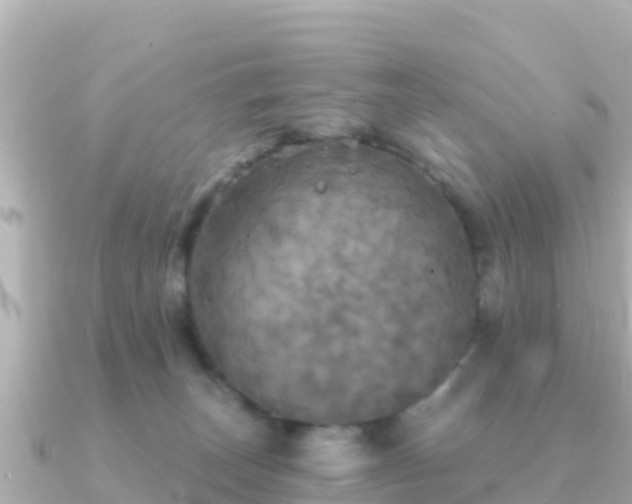 X0000091350179200708101537
