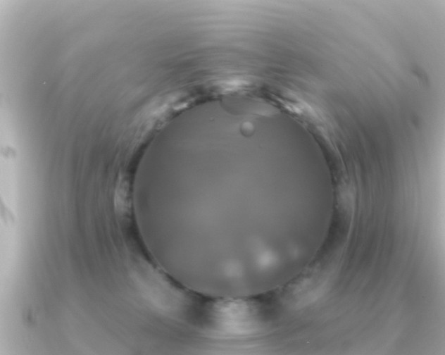 X0000091350181200708101537