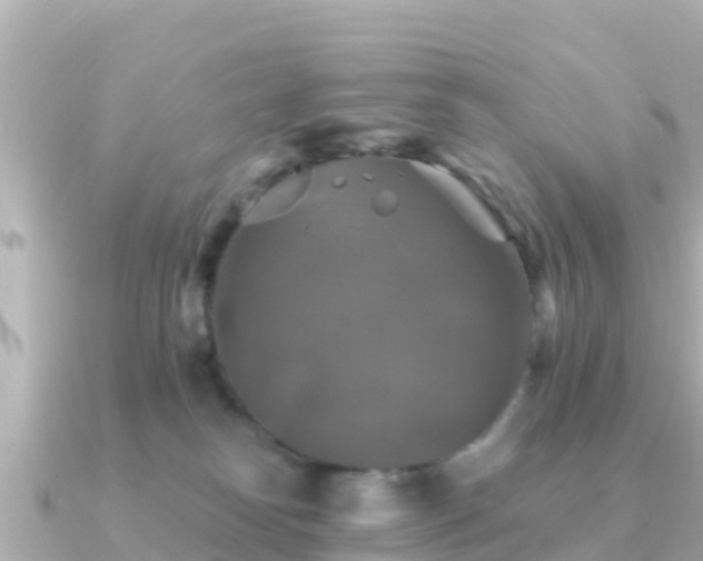 X0000091350182200708101537