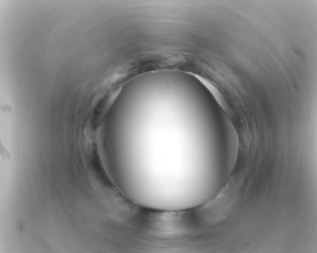 X0000091350184200708101537