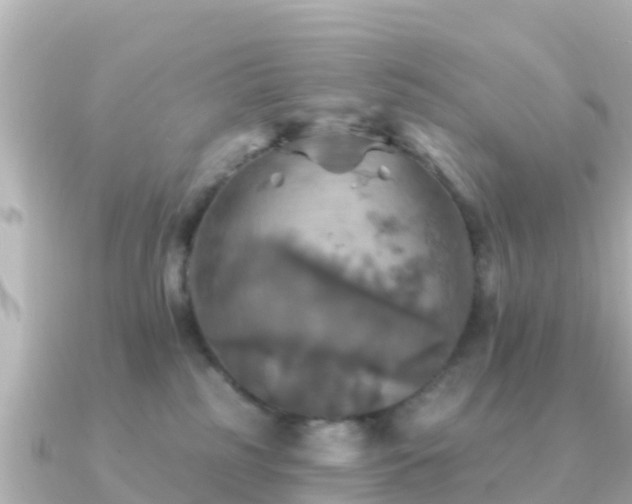 X0000091350185200708101537