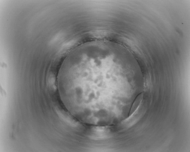 X0000091350187200708101537