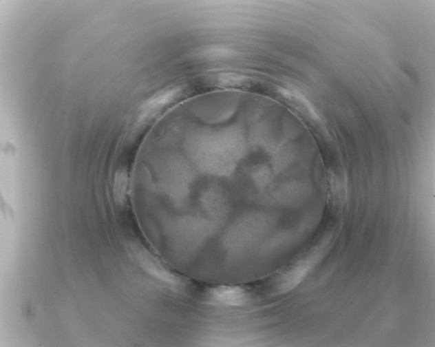 X0000091350189200708101537