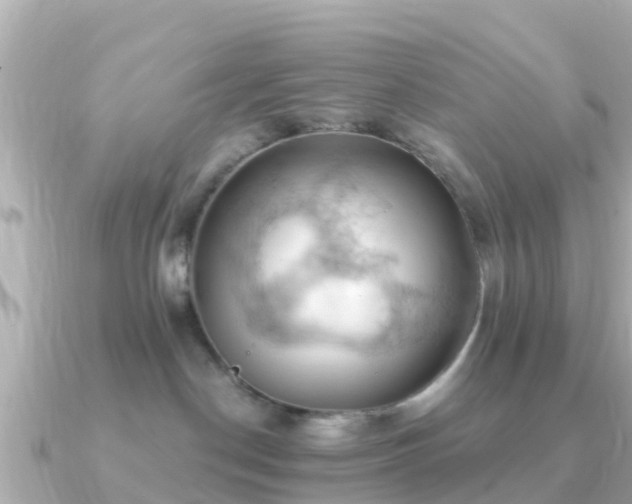X0000091350190200708101537
