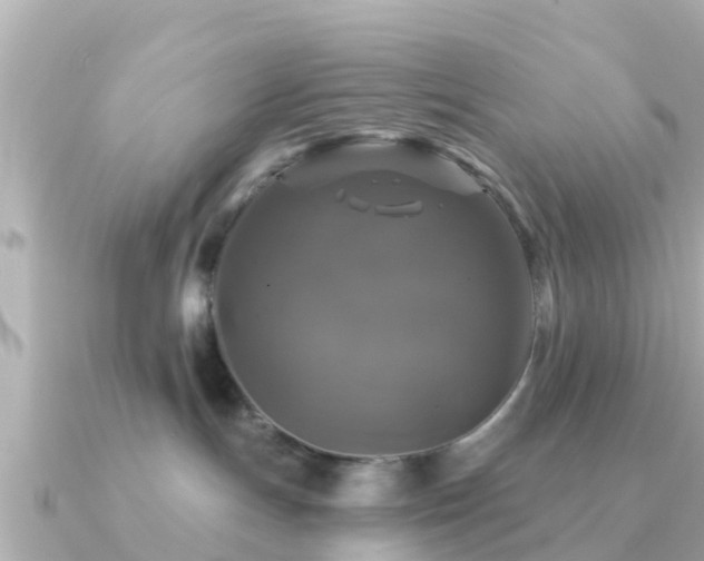 X0000091350191200708101537