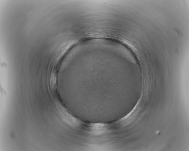 X0000091350192200708101537