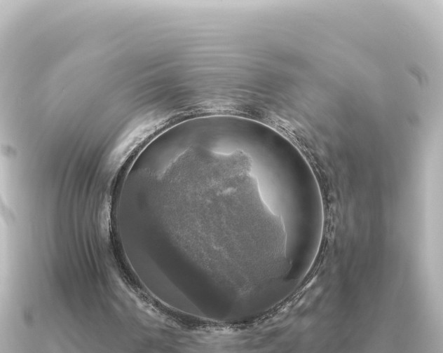 X0000091350194200708101537