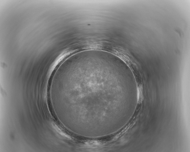 X0000091350195200708101537