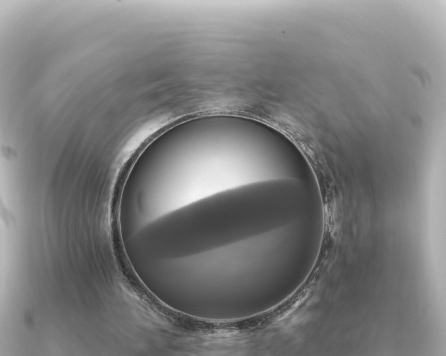 X0000091350196200708101537