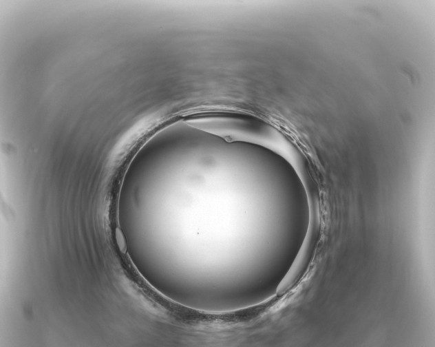 X0000091350197200708101537