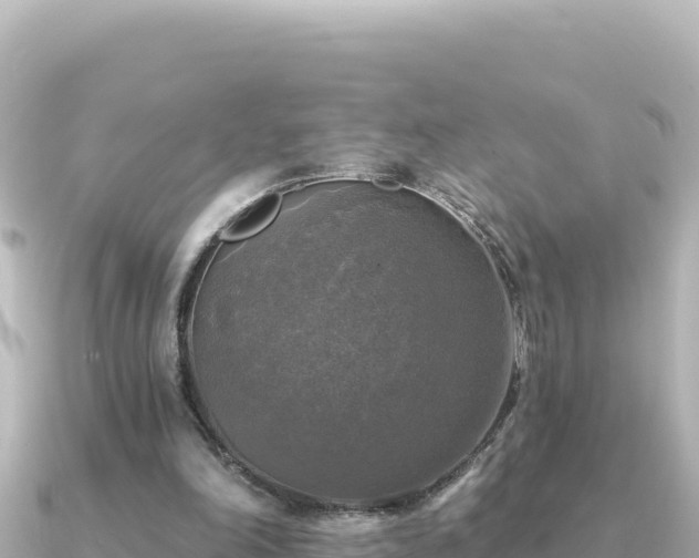 X0000091350198200708101537