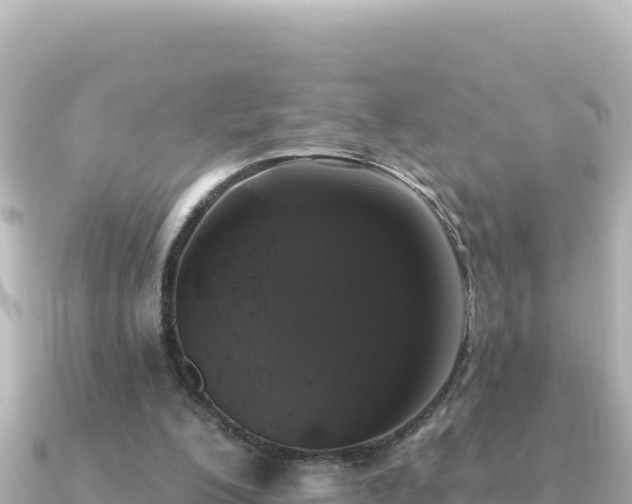 X0000091350200200708101537