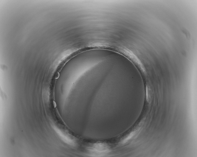 X0000091350204200708101537