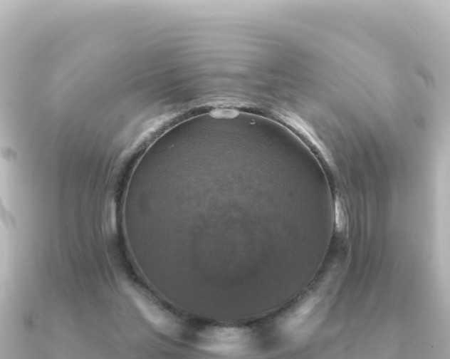X0000091350205200708101537