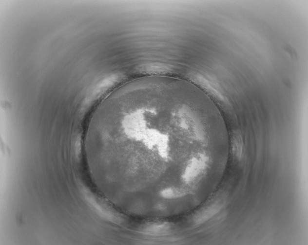 X0000091350206200708101537