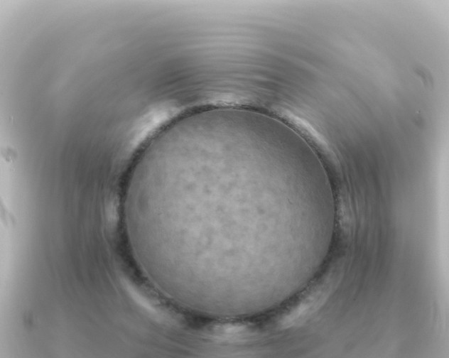 X0000091350208200708101537