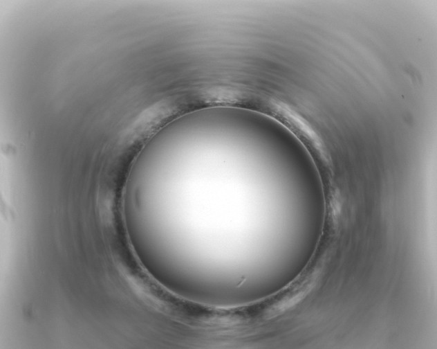 X0000091350209200708101537