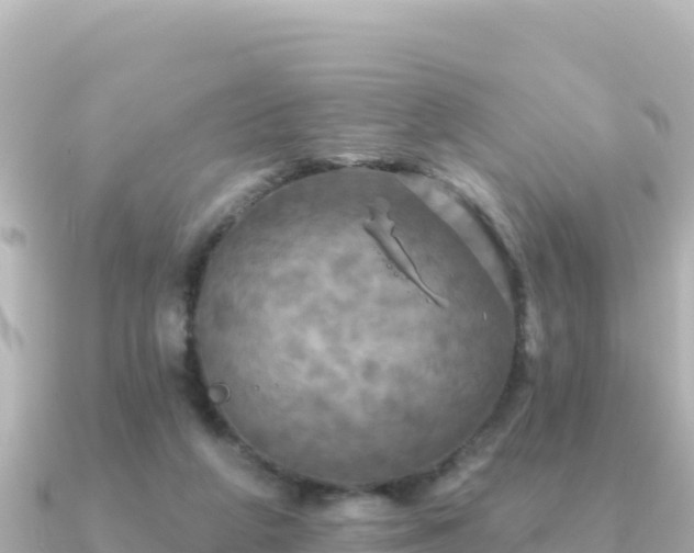 X0000091350210200708101537