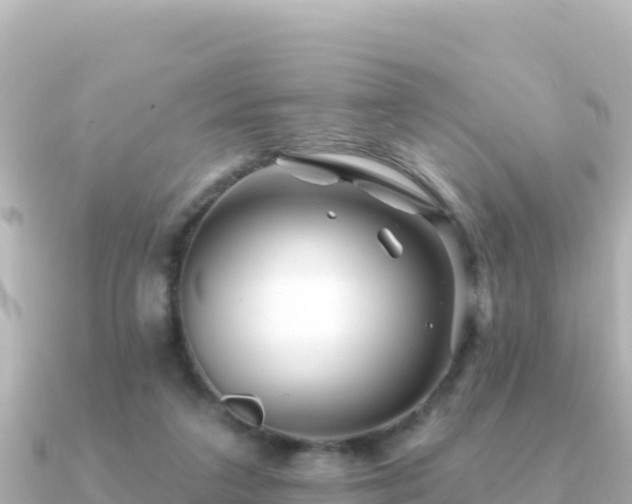 X0000091350211200708101537