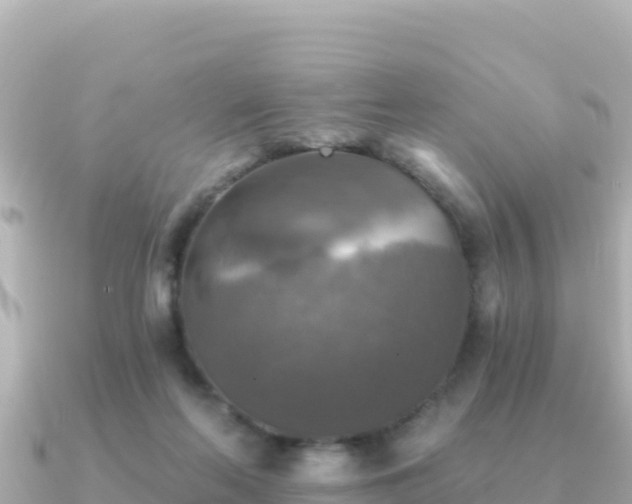 X0000091350214200708101537