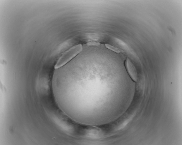 X0000091350215200708101537