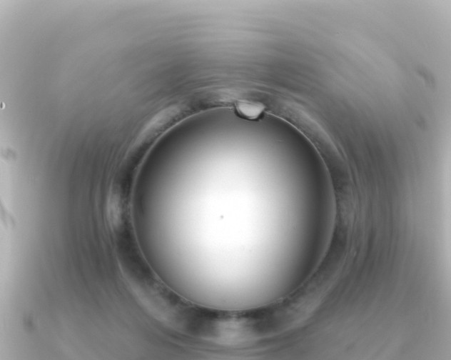 X0000091350216200708101537